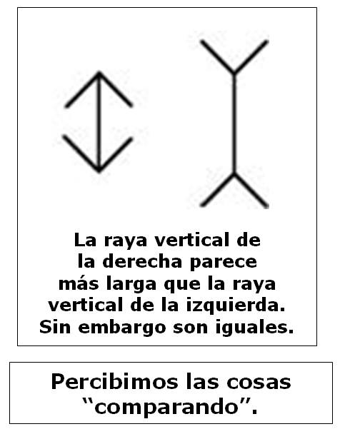 11013458_10206159007795142_573677455403488364_n